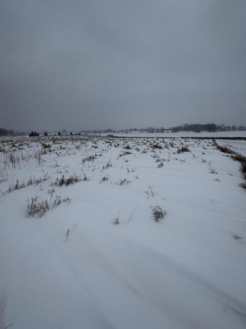 Vacant Land For Sale - TBD 395th<br/> Dent, MN 56528