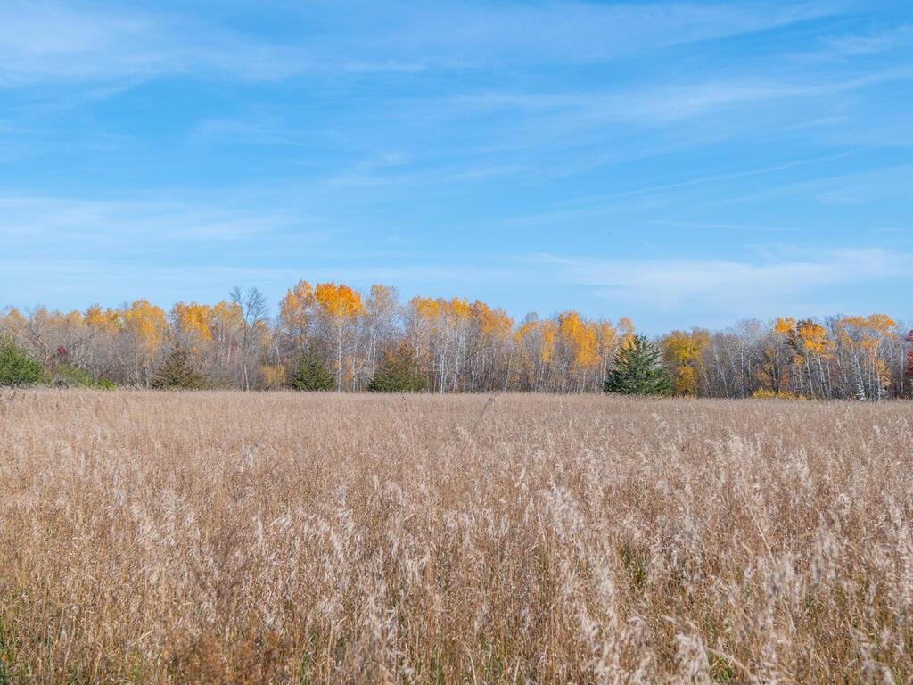 41218 Nelson Road, North Branch, Minnesota image 45