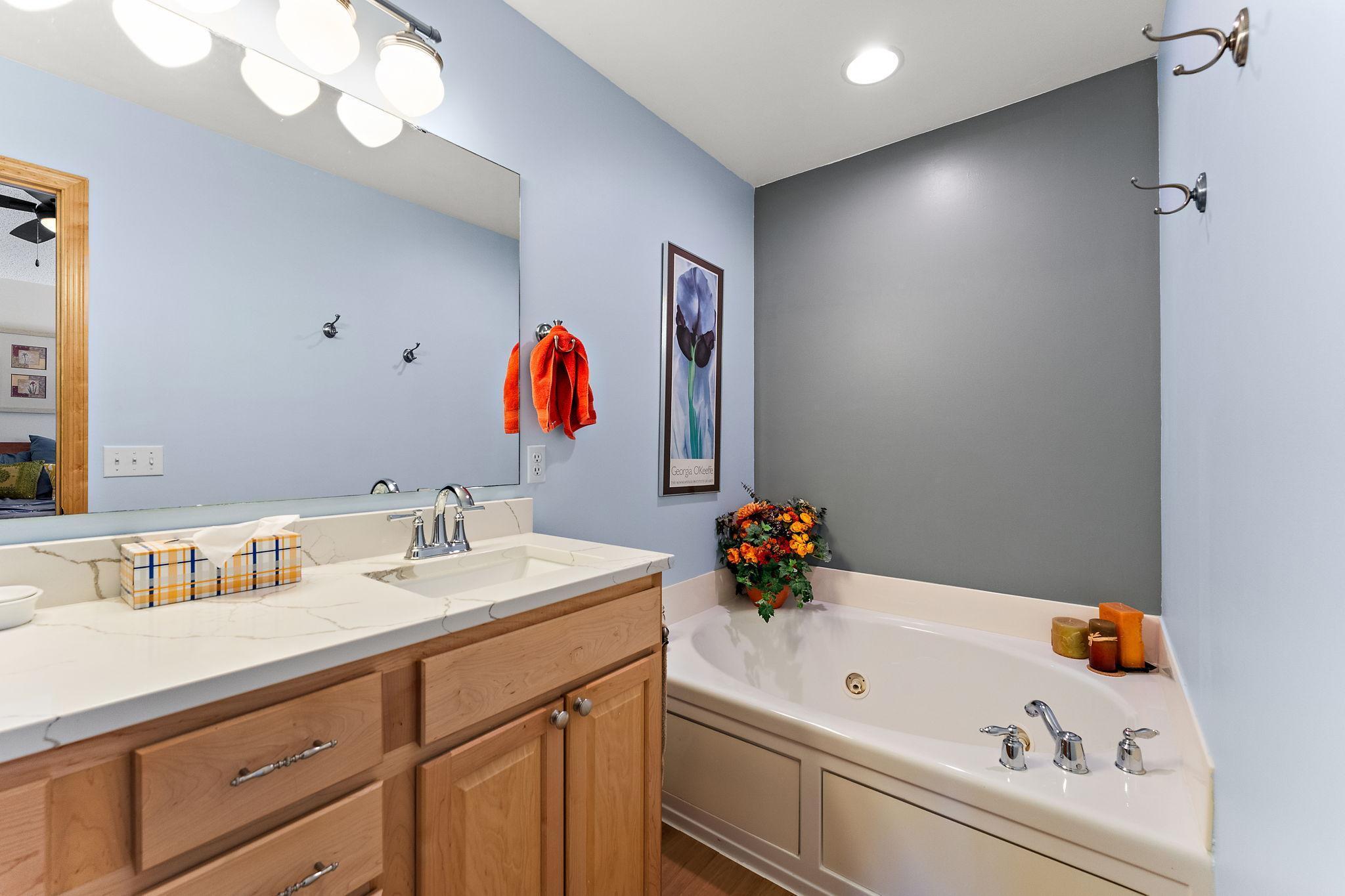 10678 Kilbirnie Alcove, Saint Paul, Minnesota image 21