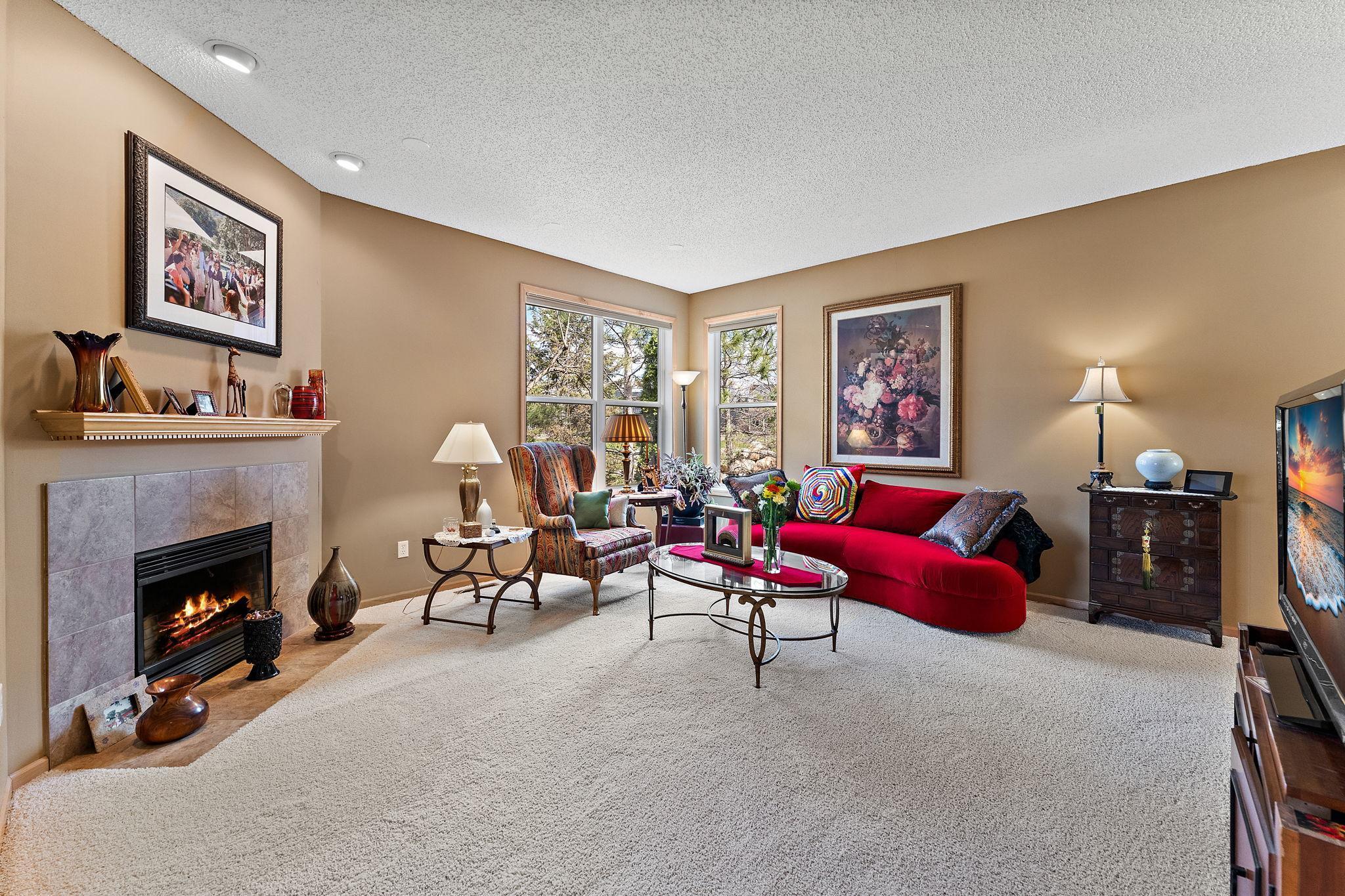 10678 Kilbirnie Alcove, Saint Paul, Minnesota image 8
