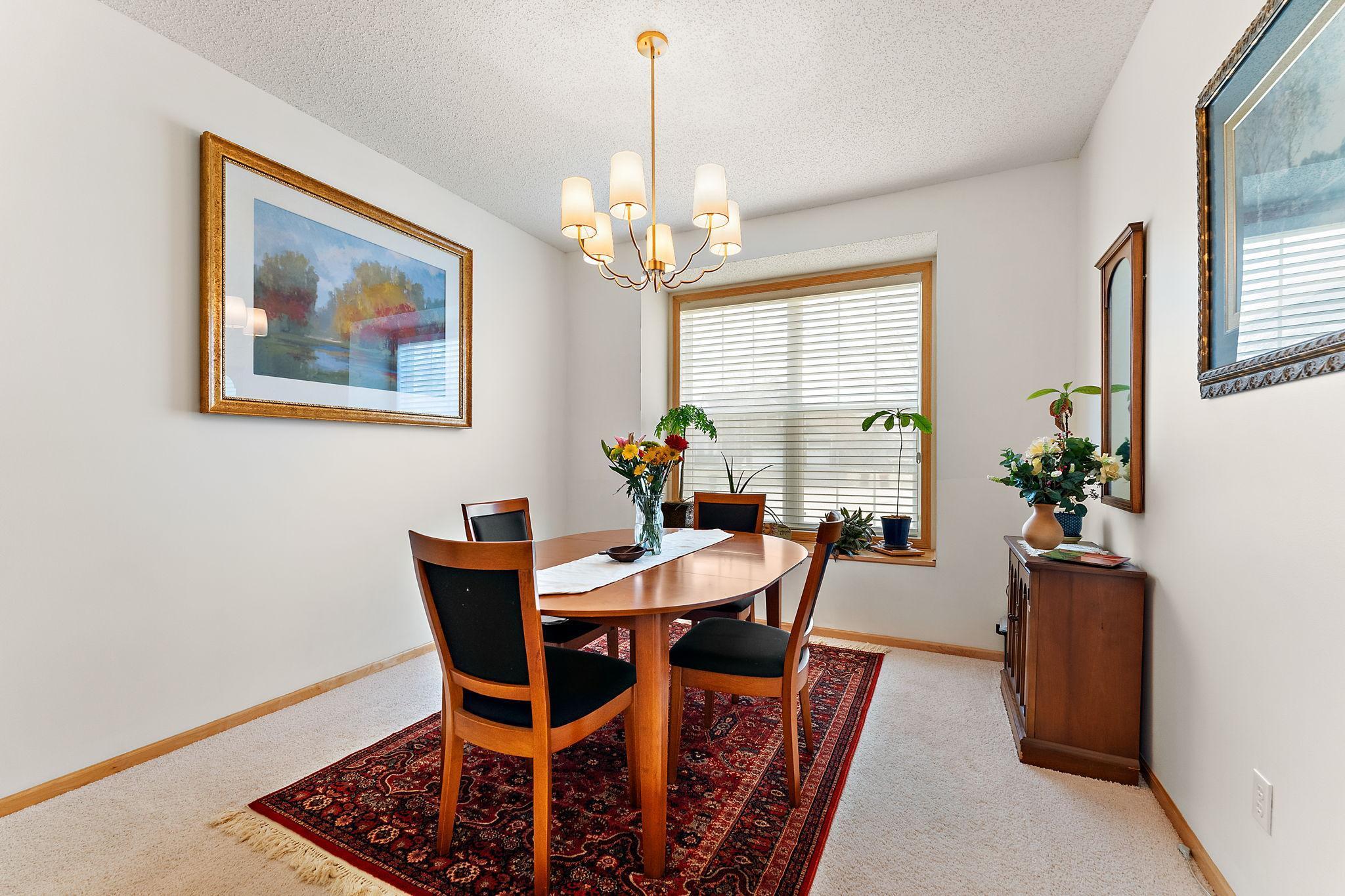 10678 Kilbirnie Alcove, Saint Paul, Minnesota image 11