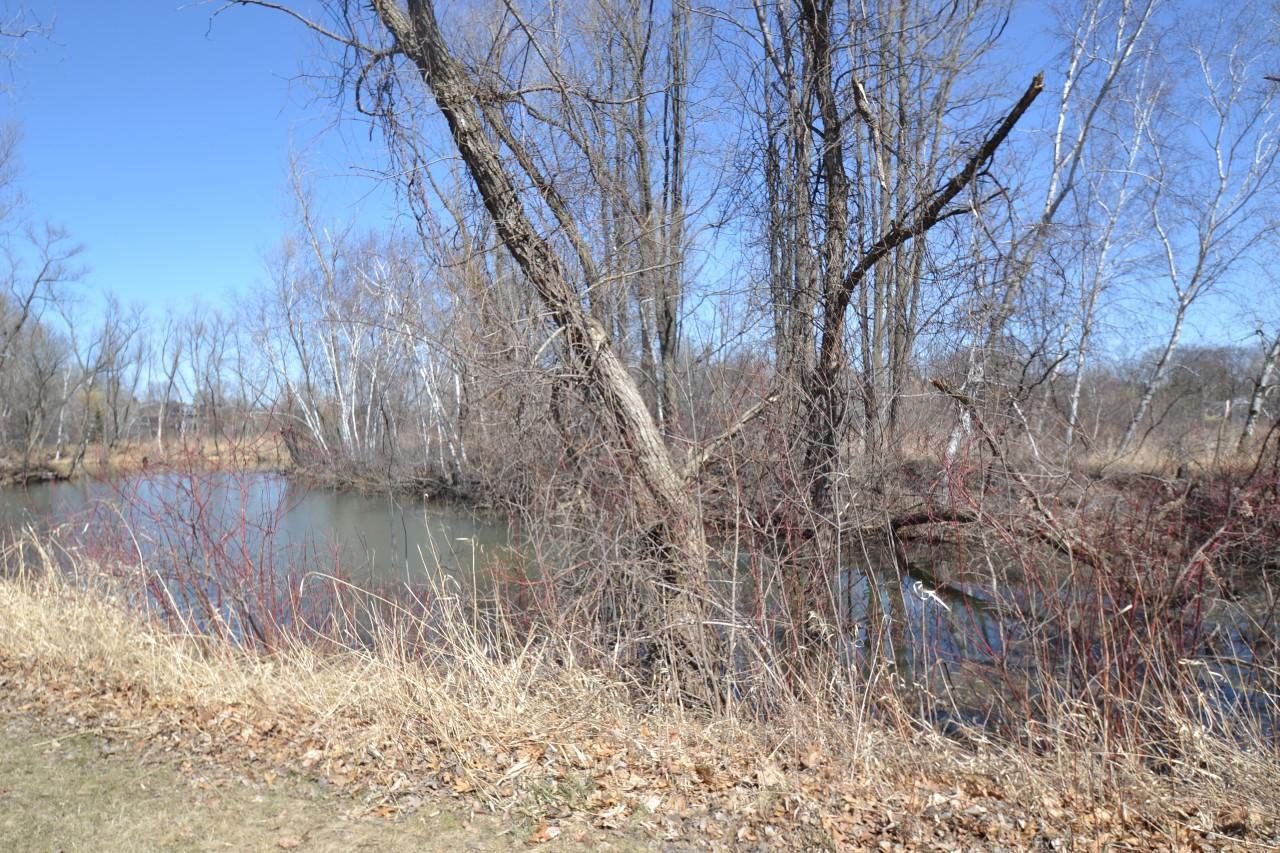 5700 Willow Trail, Saint Paul, Minnesota image 4