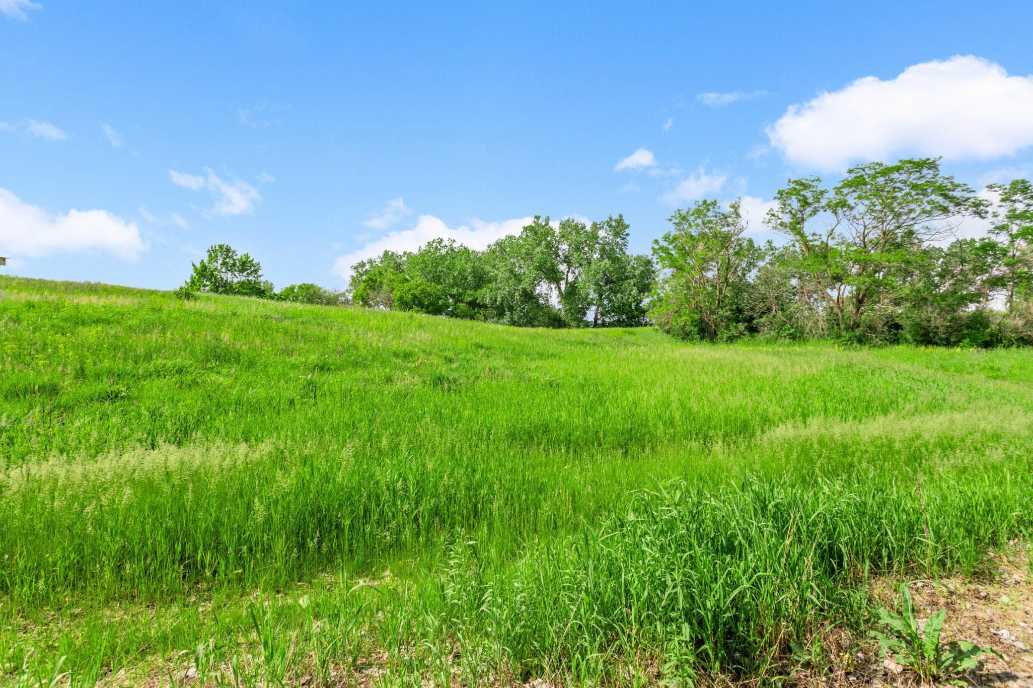 9850 Xerxes Curve, Bloomington, Minnesota image 34