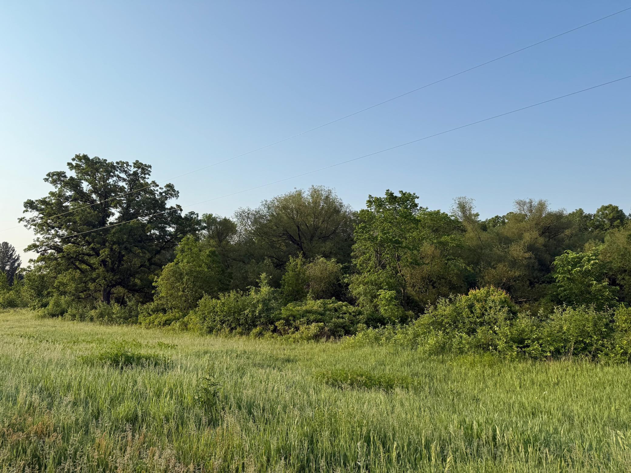 TBD 6th Street, Randall, Minnesota image 3