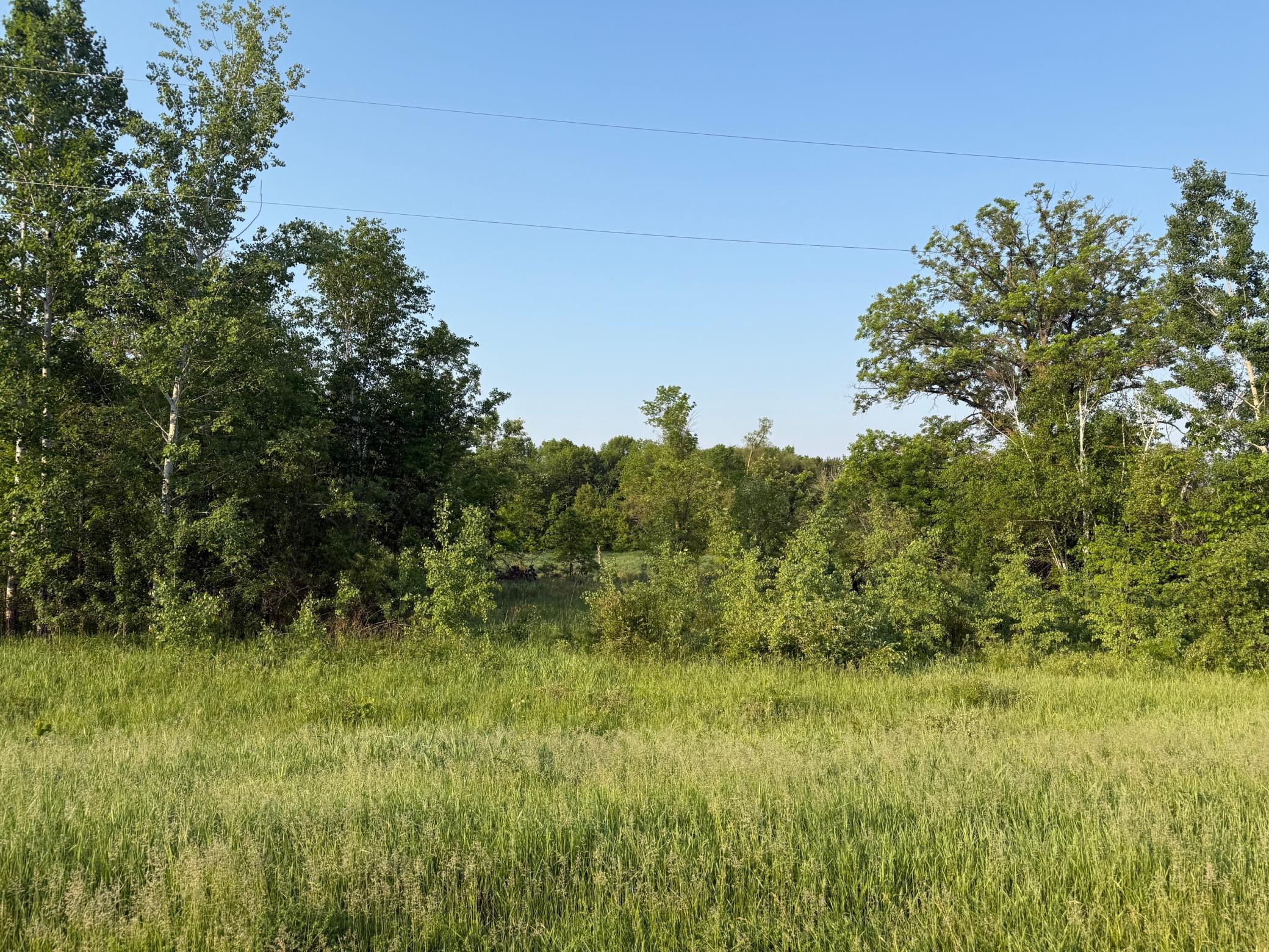 TBD 6th Street, Randall, Minnesota image 1