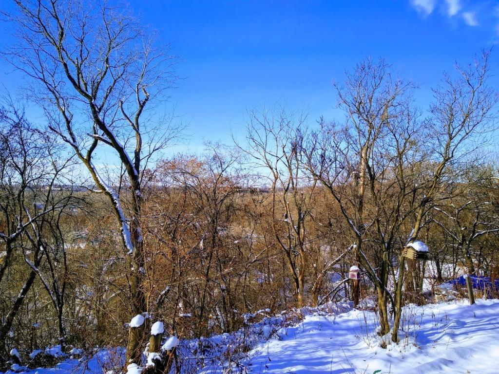 1264 Sibley Memorial Highway, Mendota, Minnesota image 5