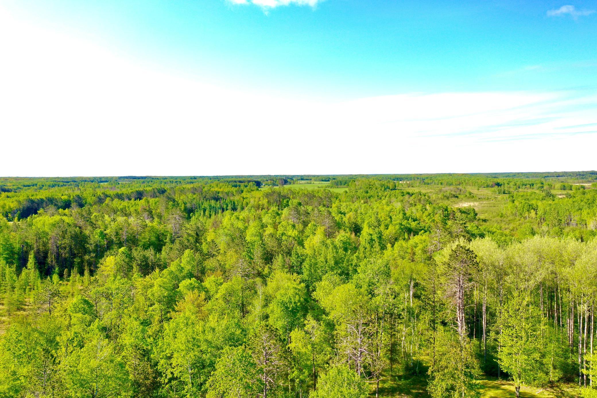 41574 Koland Road, Sandstone, Minnesota image 3