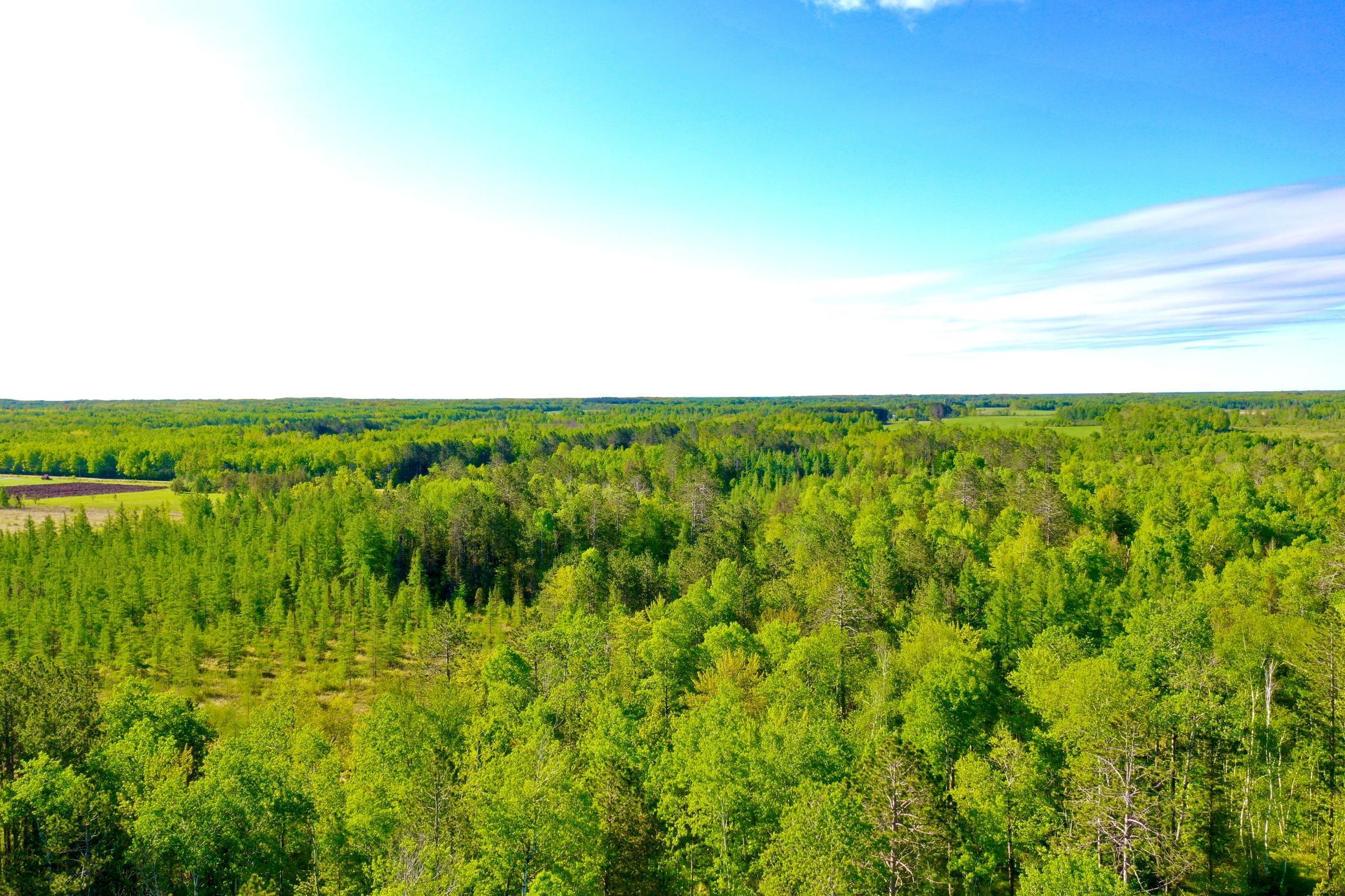 41574 Koland Road, Sandstone, Minnesota image 4