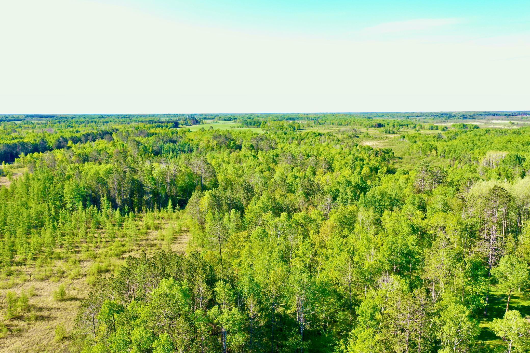 41574 Koland Road, Sandstone, Minnesota image 7