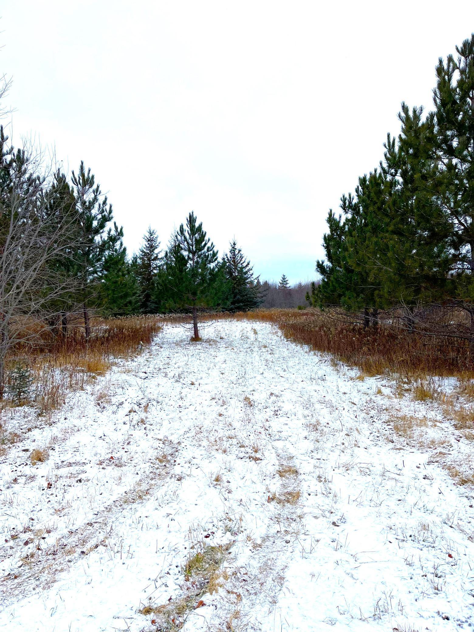 Lot 3 - TBD 330th Street, Warroad, Minnesota image 1