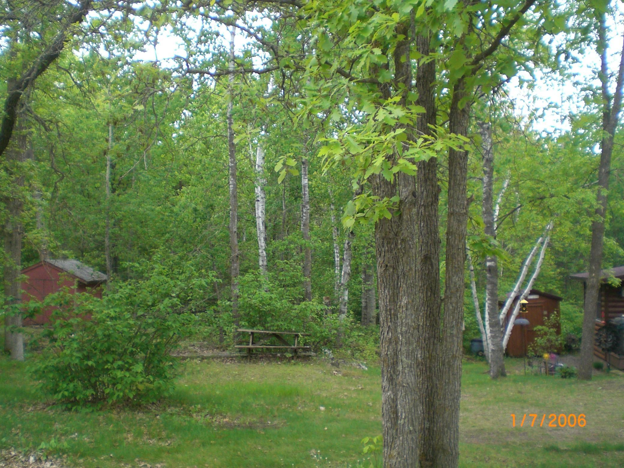 30667 Plumwood Trail, Pequot Lakes, Minnesota image 6