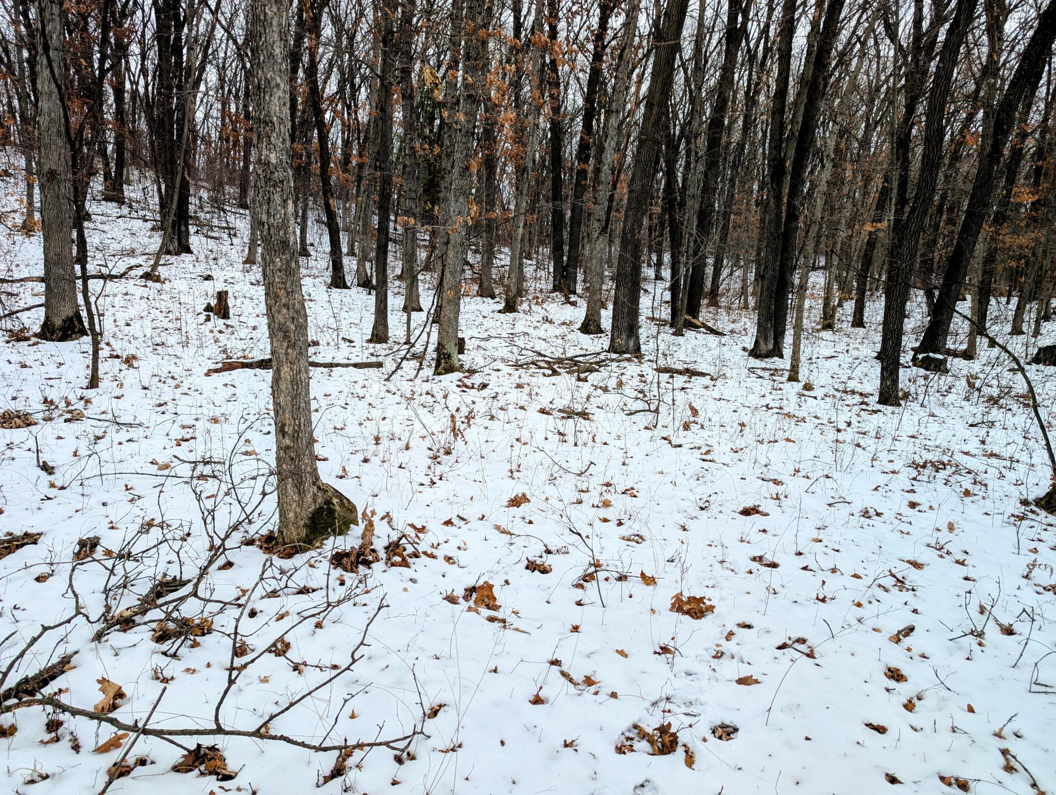 0000 Murphy Lane, Eau Claire, Wisconsin image 4