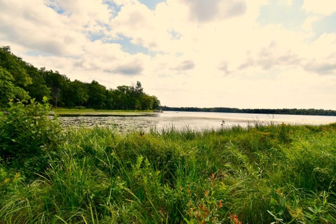 Vacant Land For Sale - 12231 Scott Lake Road<br/> Crow Wing County, Deerwood, MN 56444