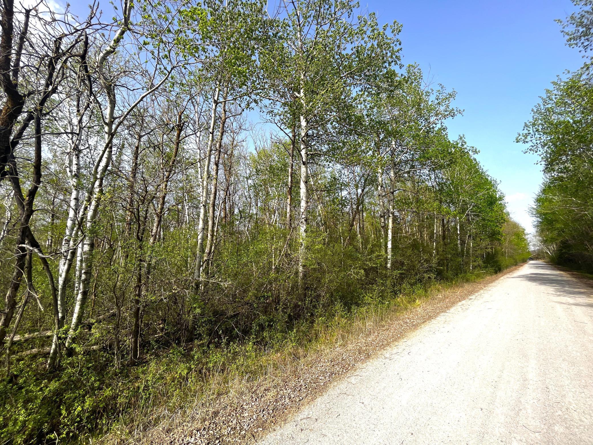 TBD 585th Avenue, Warroad, Minnesota image 6