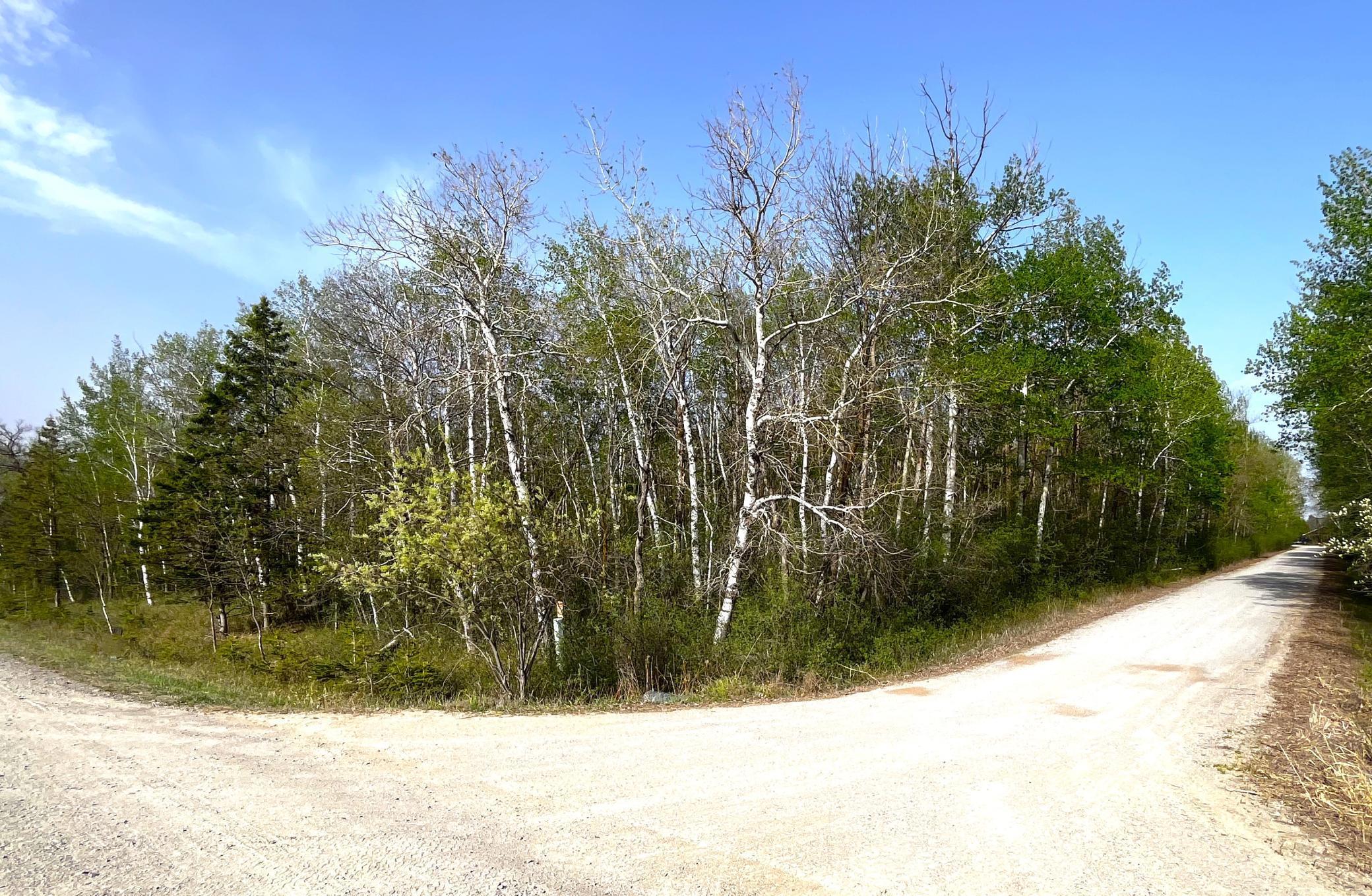 TBD 585th Avenue, Warroad, Minnesota image 11