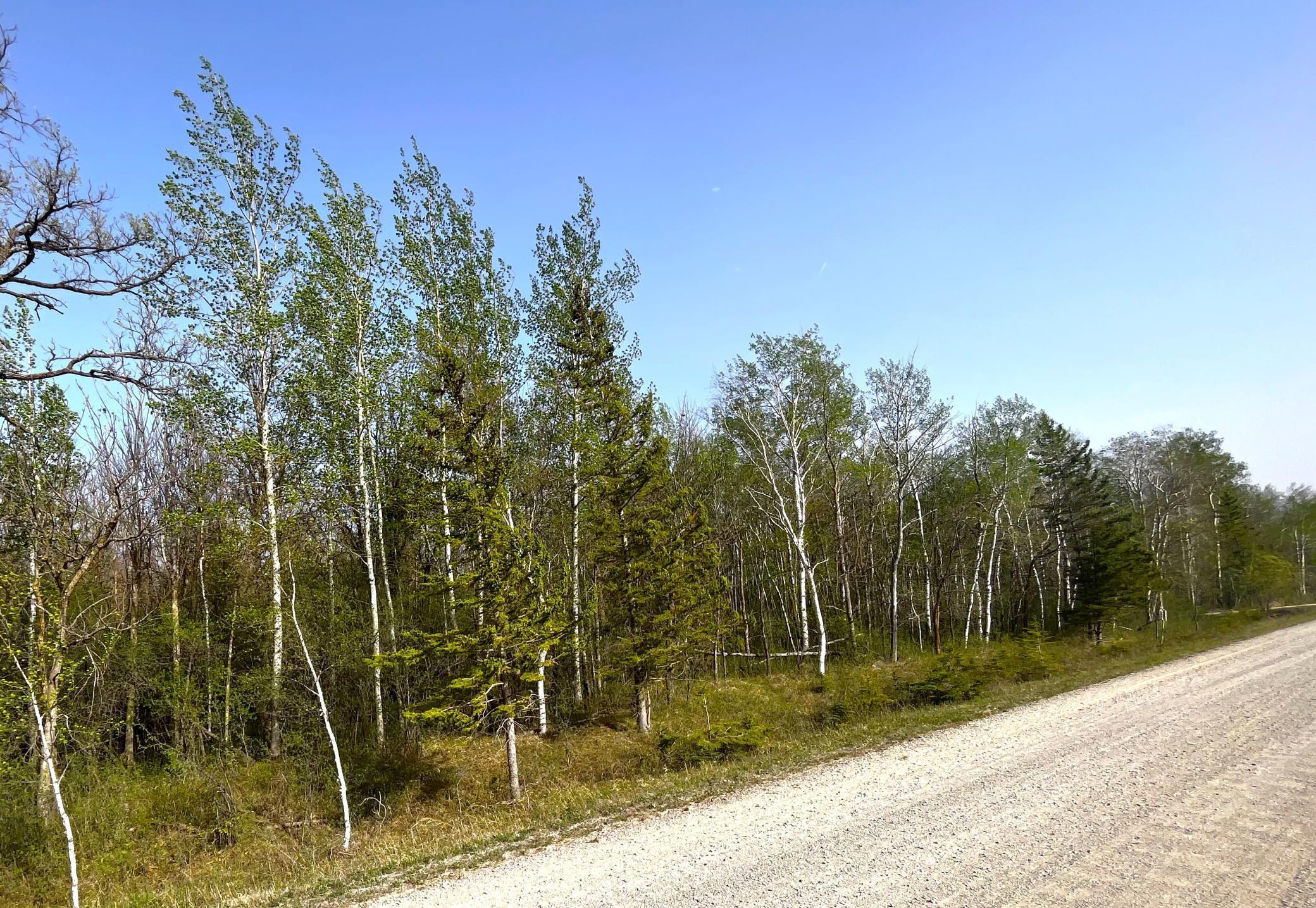TBD 585th Avenue, Warroad, Minnesota image 3