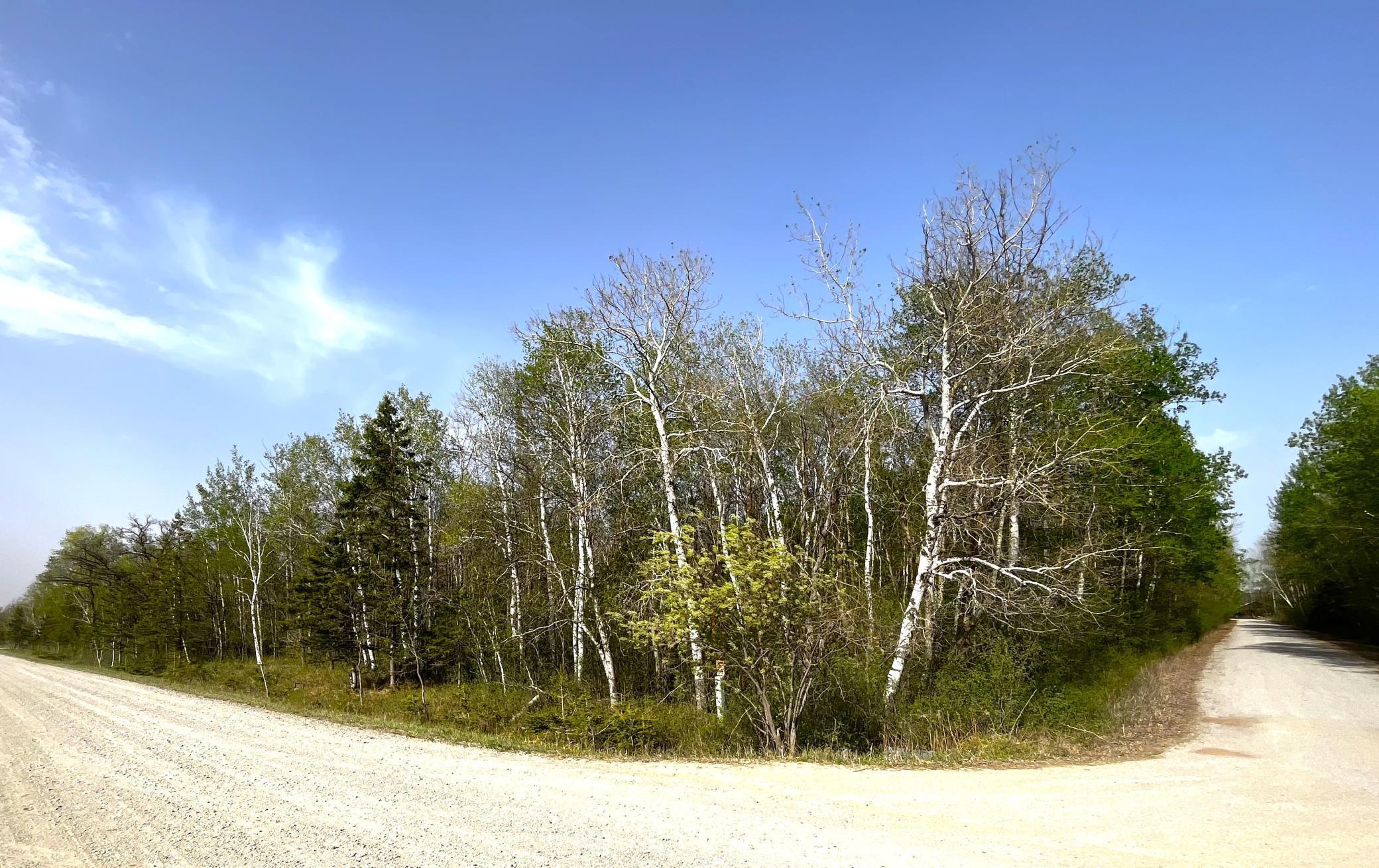 TBD 585th Avenue, Warroad, Minnesota image 4