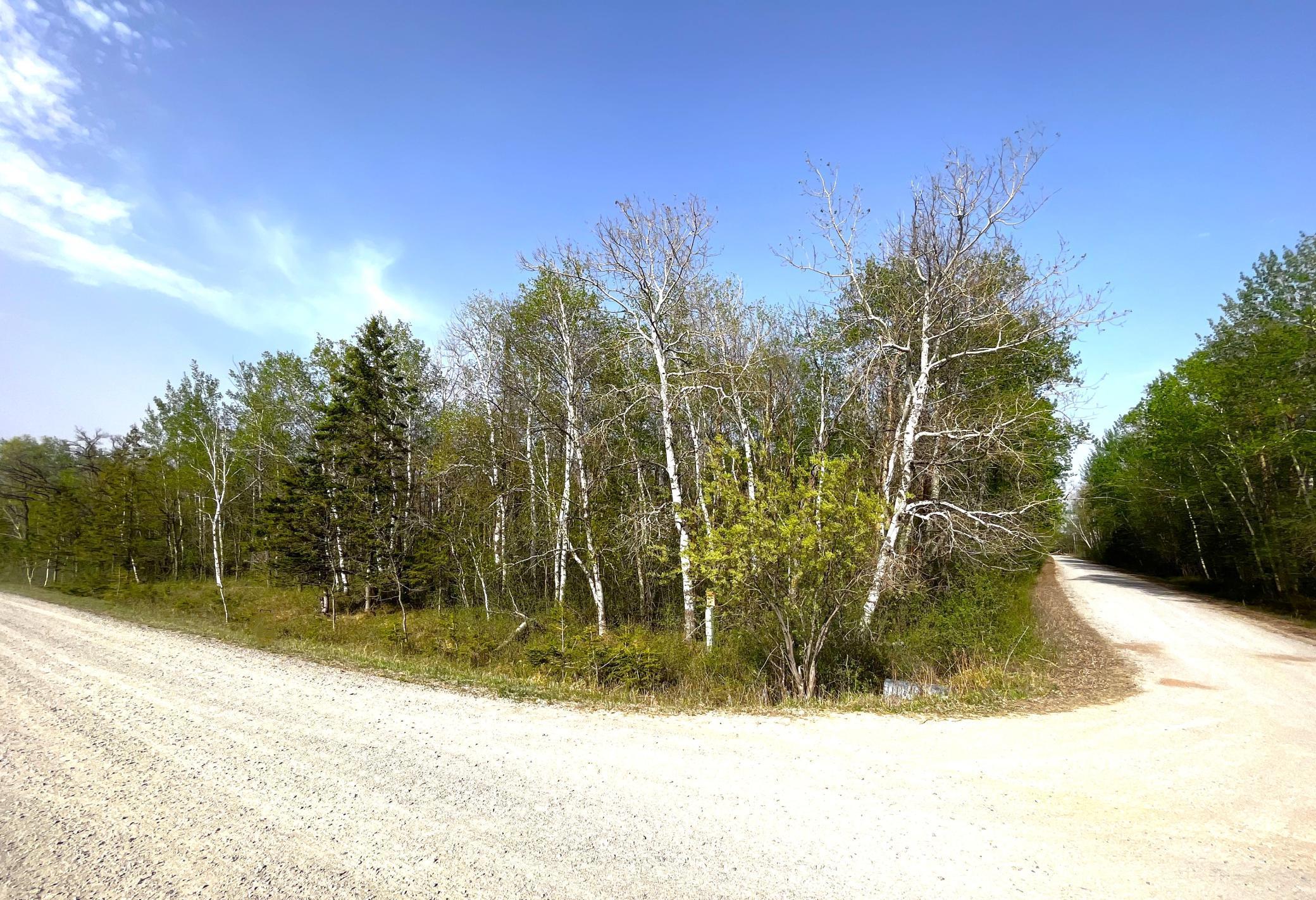TBD 585th Avenue, Warroad, Minnesota image 10