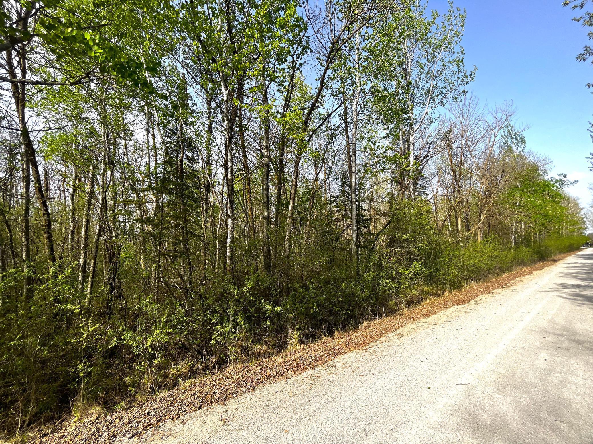 TBD 585th Avenue, Warroad, Minnesota image 7