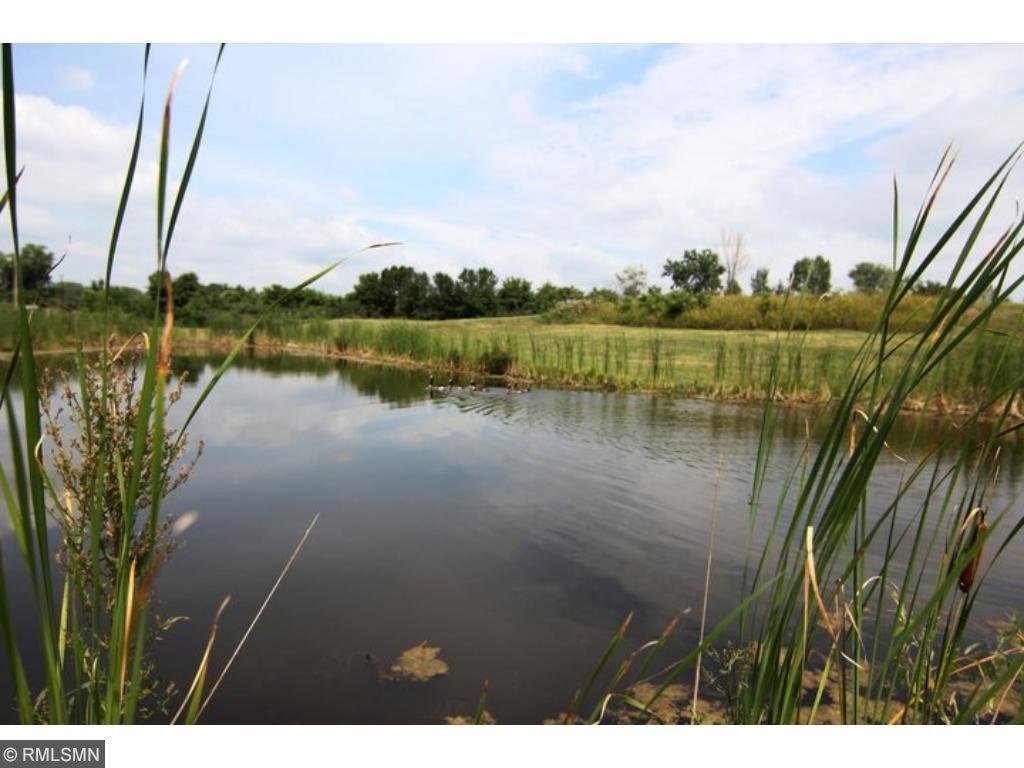 4795 Juniper Curve, Maple Plain, Minnesota image 8