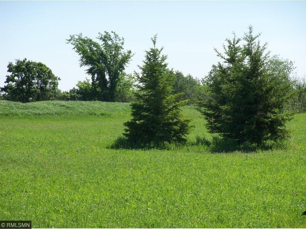 4795 Juniper Curve, Maple Plain, Minnesota image 4