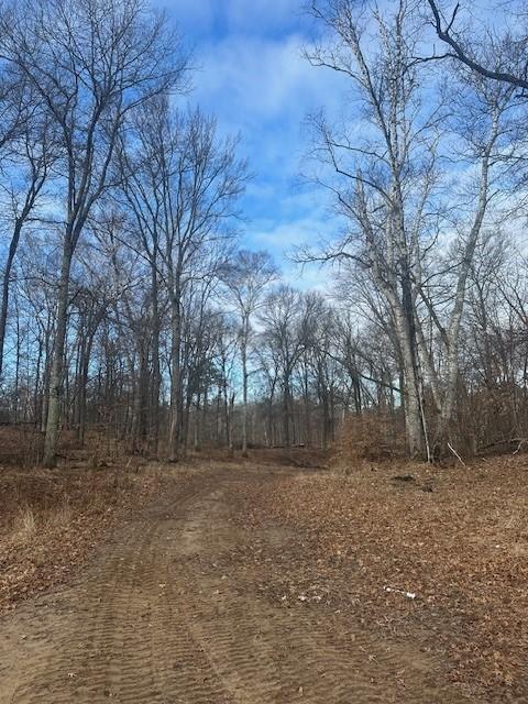 L3B1 Shady Lane, Crosslake, Minnesota image 1