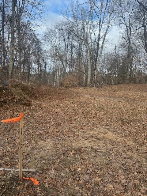 L3B1 Shady Lane, Crosslake, Minnesota image 15