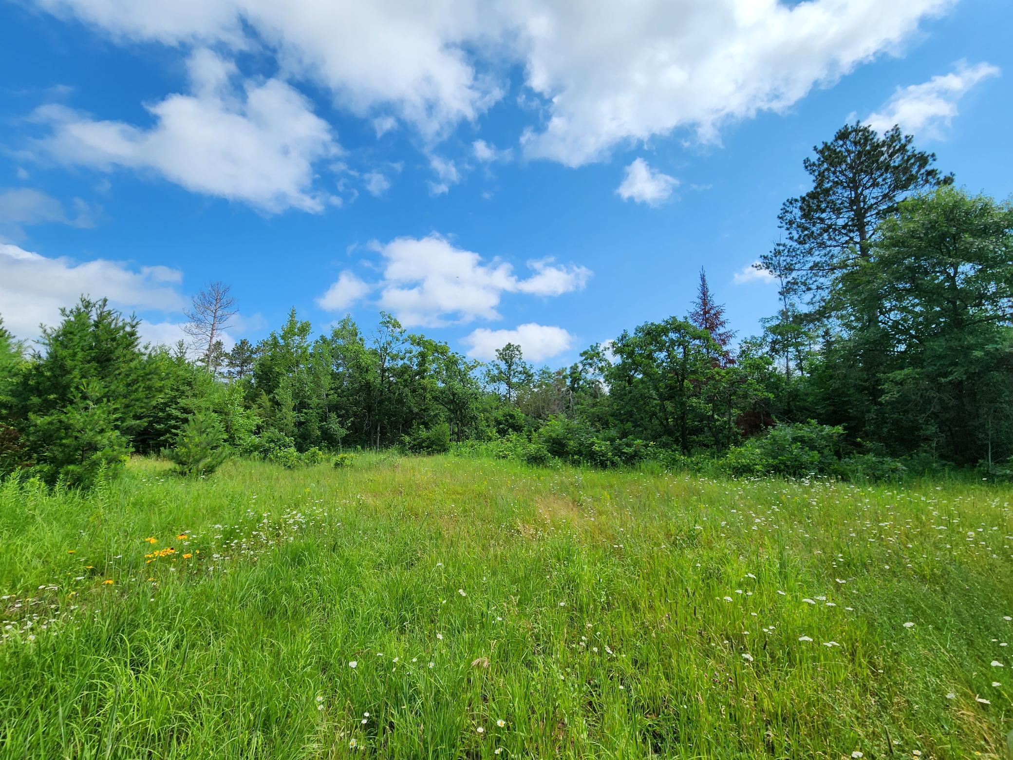 18575 State 34, Park Rapids, Minnesota image 7
