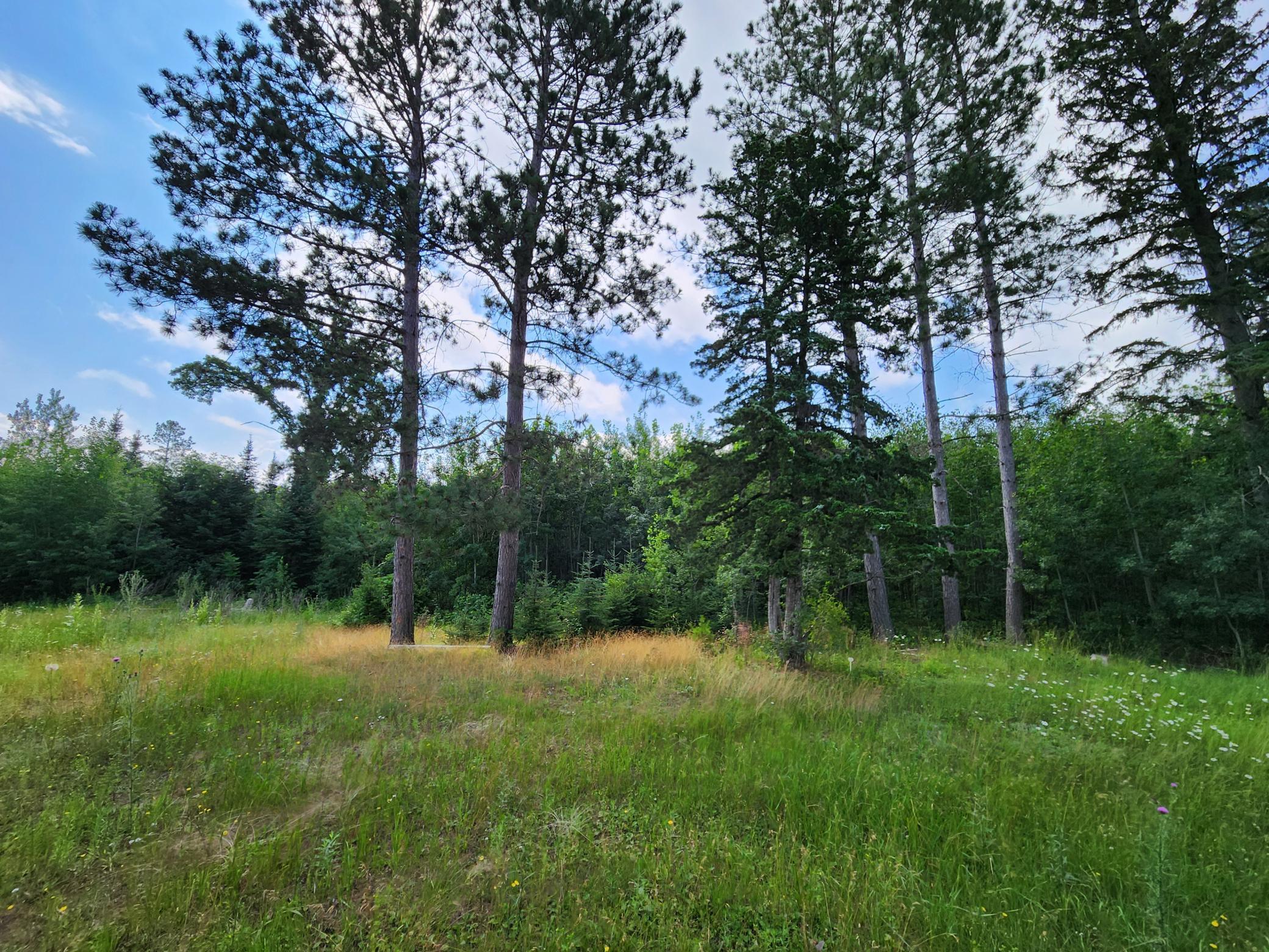 18575 State 34, Park Rapids, Minnesota image 6