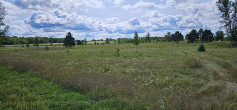 Vacant Land For Sale - TBD 394th St.<br/> Perham, MN 56573