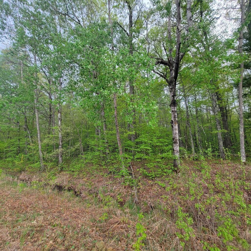 Lot 10 County Road A, Spooner, Wisconsin image 5