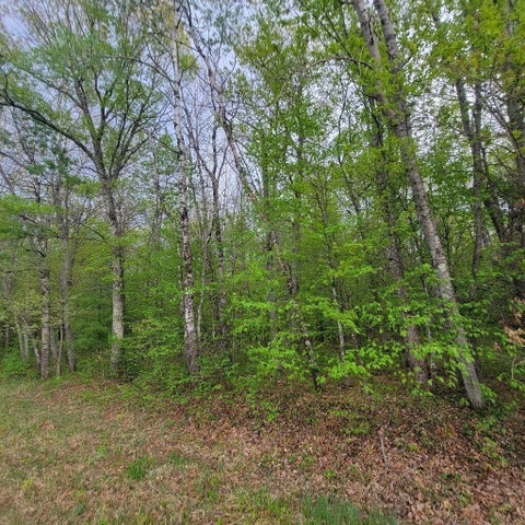 Vacant Land For Sale - LOT 10 County Road A<br/> Spooner, WI 54801