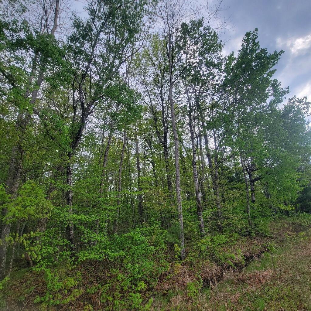 Lot 10 County Road A, Spooner, Wisconsin image 2