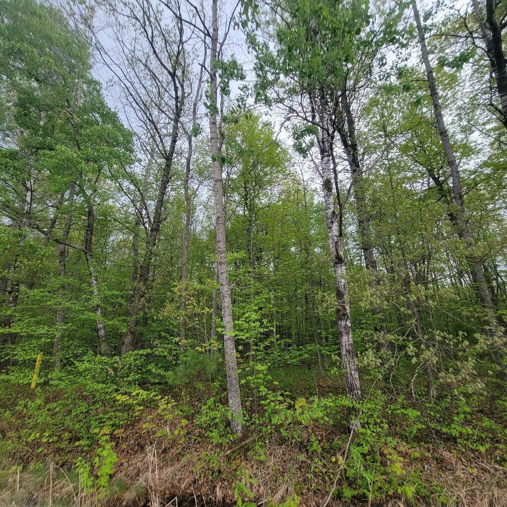 Lot 10 County Road A, Spooner, Wisconsin image 6
