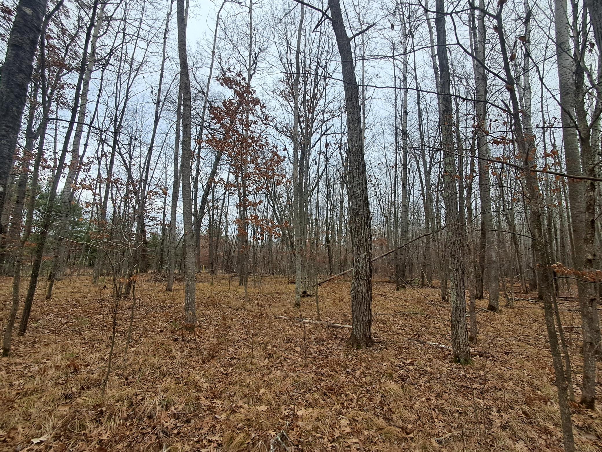 Lot 10 County Road A, Spooner, Wisconsin image 3