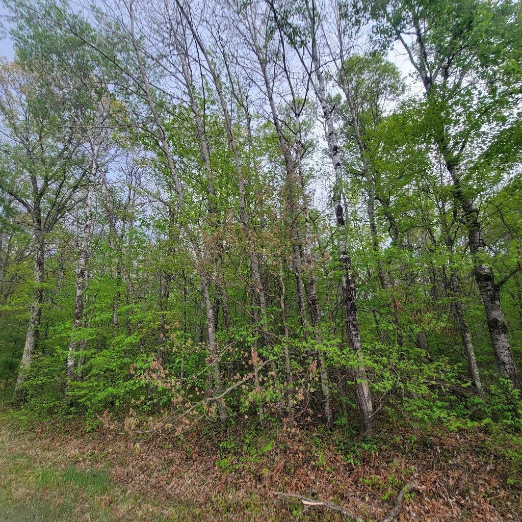Lot 10 County Road A, Spooner, Wisconsin image 3