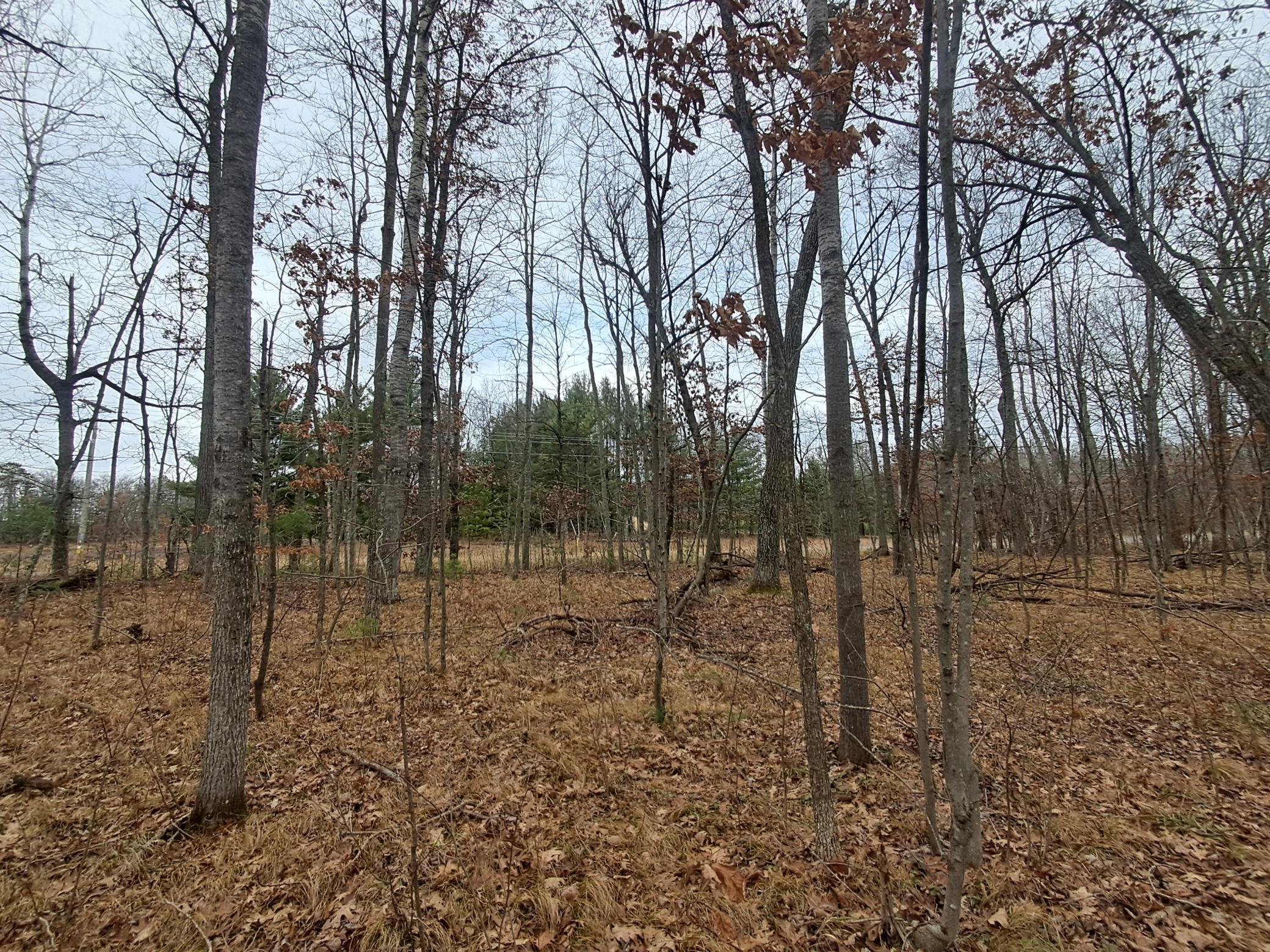 Lot 10 County Road A, Spooner, Wisconsin image 4