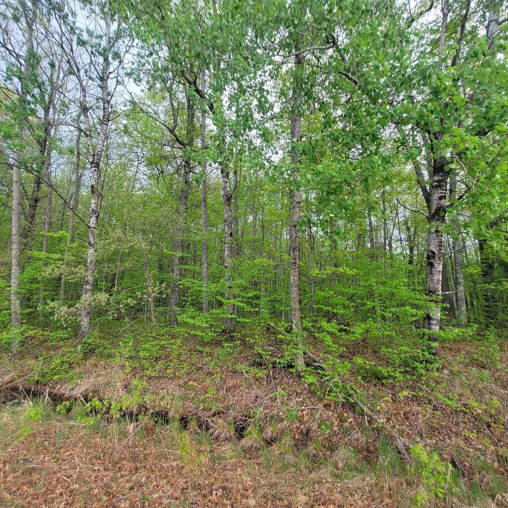 Lot 10 County Road A, Spooner, Wisconsin image 1