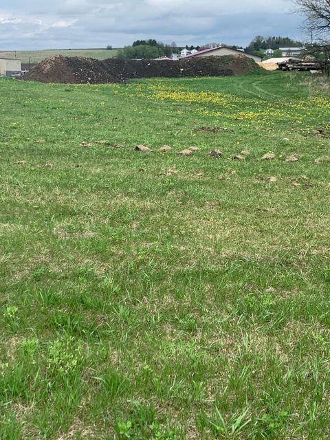 Vacant Land For Sale - 211 Industrial Park Drive<br/> Saint Charles, MN 55972