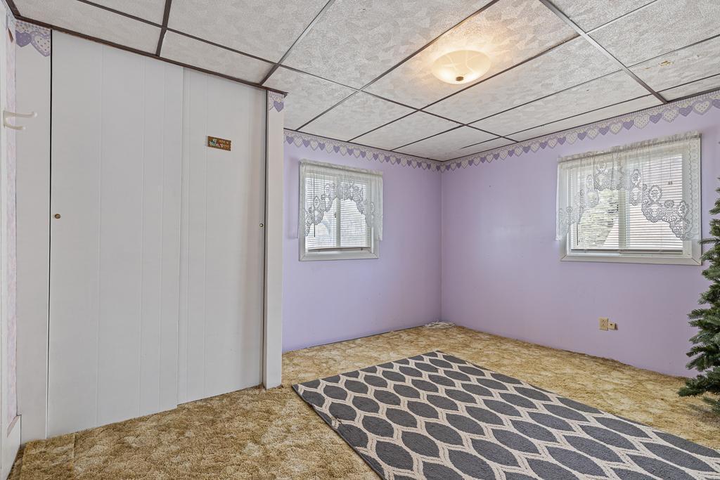 113 N Brook Avenue, Porter, Minnesota image 38