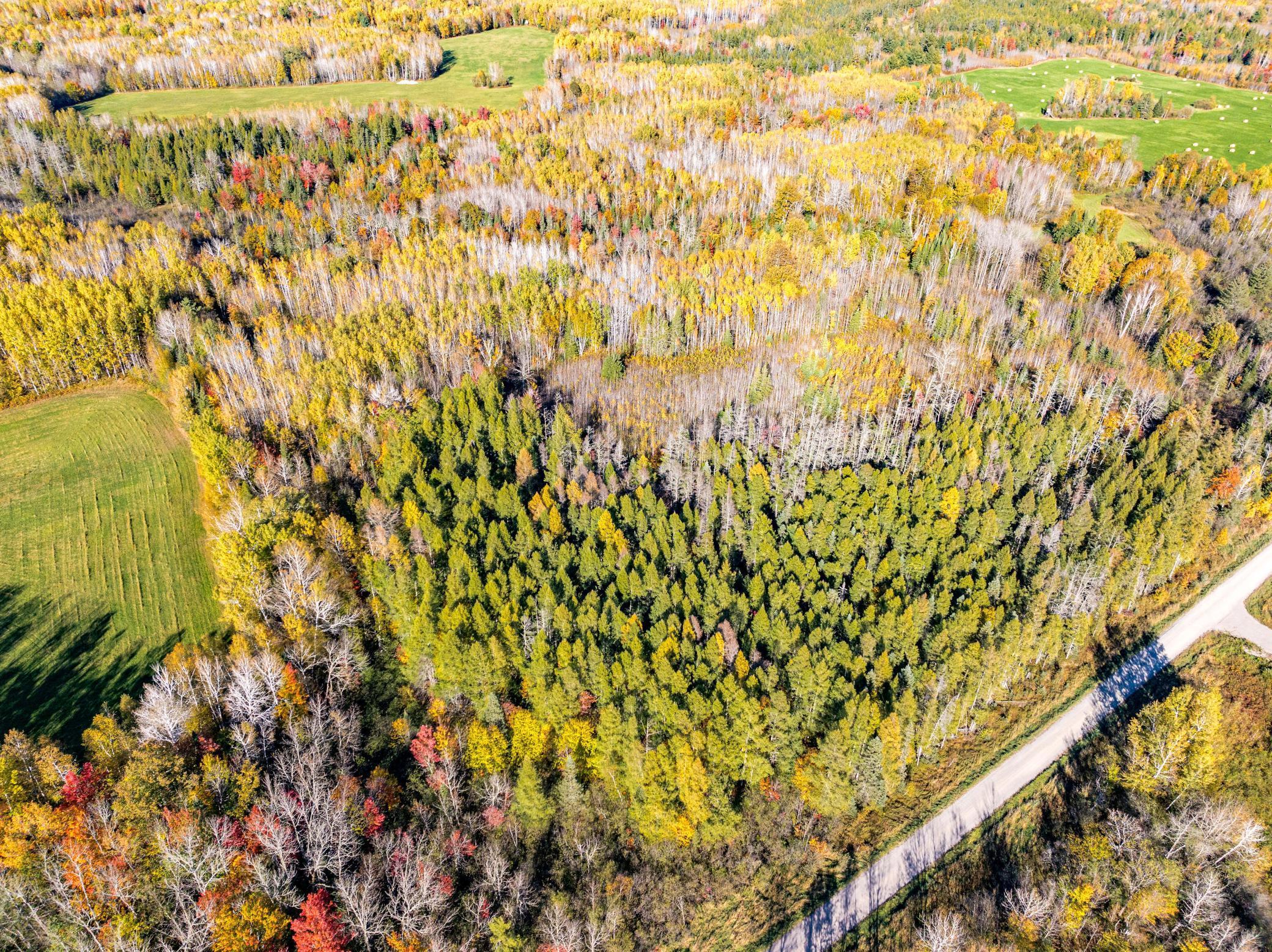 14126 Lastovich Road, Goodland, Minnesota image 50