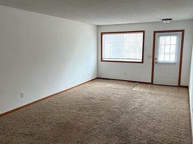 8979 92nd Street, Cottage Grove, Minnesota image 4