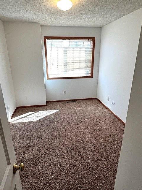 8979 92nd Street, Cottage Grove, Minnesota image 11