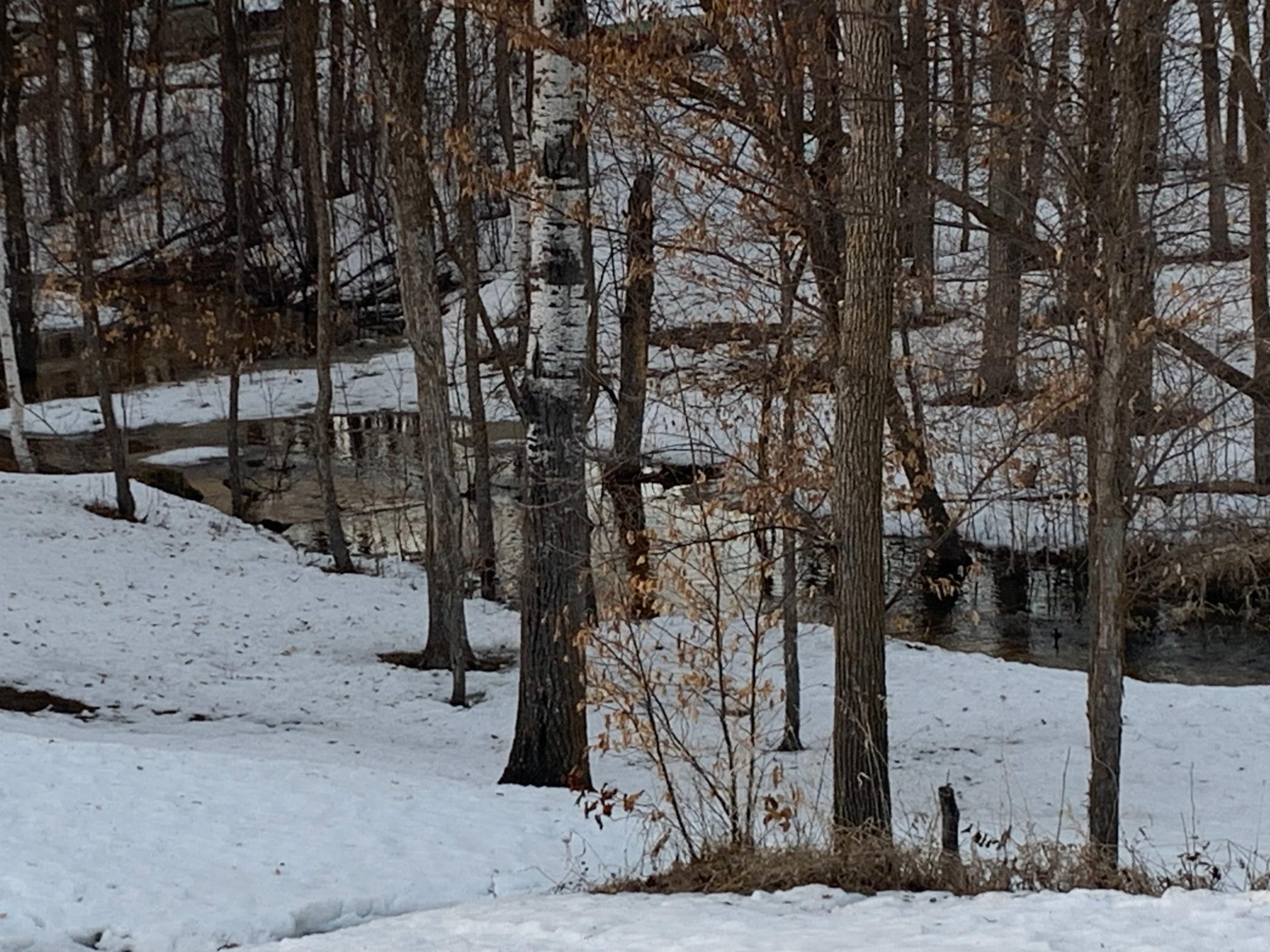 18586 County Highway 25, Detroit Lakes, Minnesota image 30