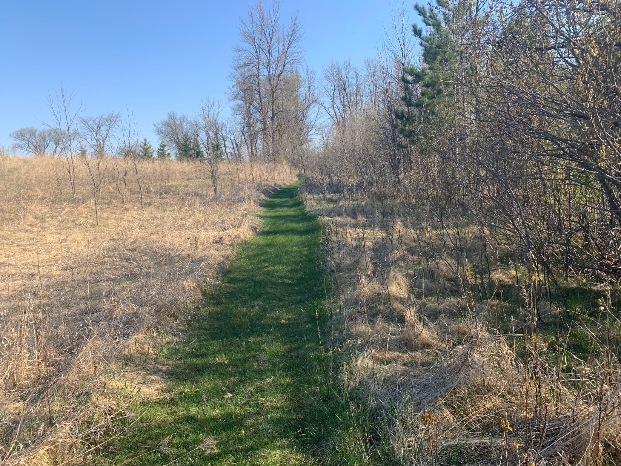 18586 County Highway 25, Detroit Lakes, Minnesota image 26