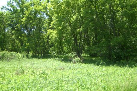 XXXX Woodhill Boulevard, Lakeville, Minnesota image 7