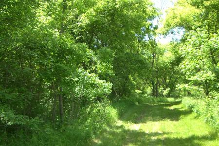 XXXX Woodhill Boulevard, Lakeville, Minnesota image 5