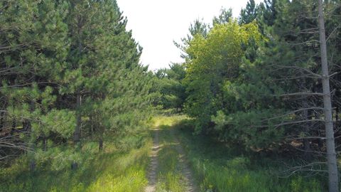 Vacant Land For Sale - 49928 County Highway 54<br/> New York Mills, MN 56567