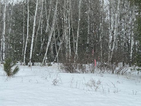 Vacant Land For Sale - LOT 4 North Shore Drive<br/> Iron River, WI 54847