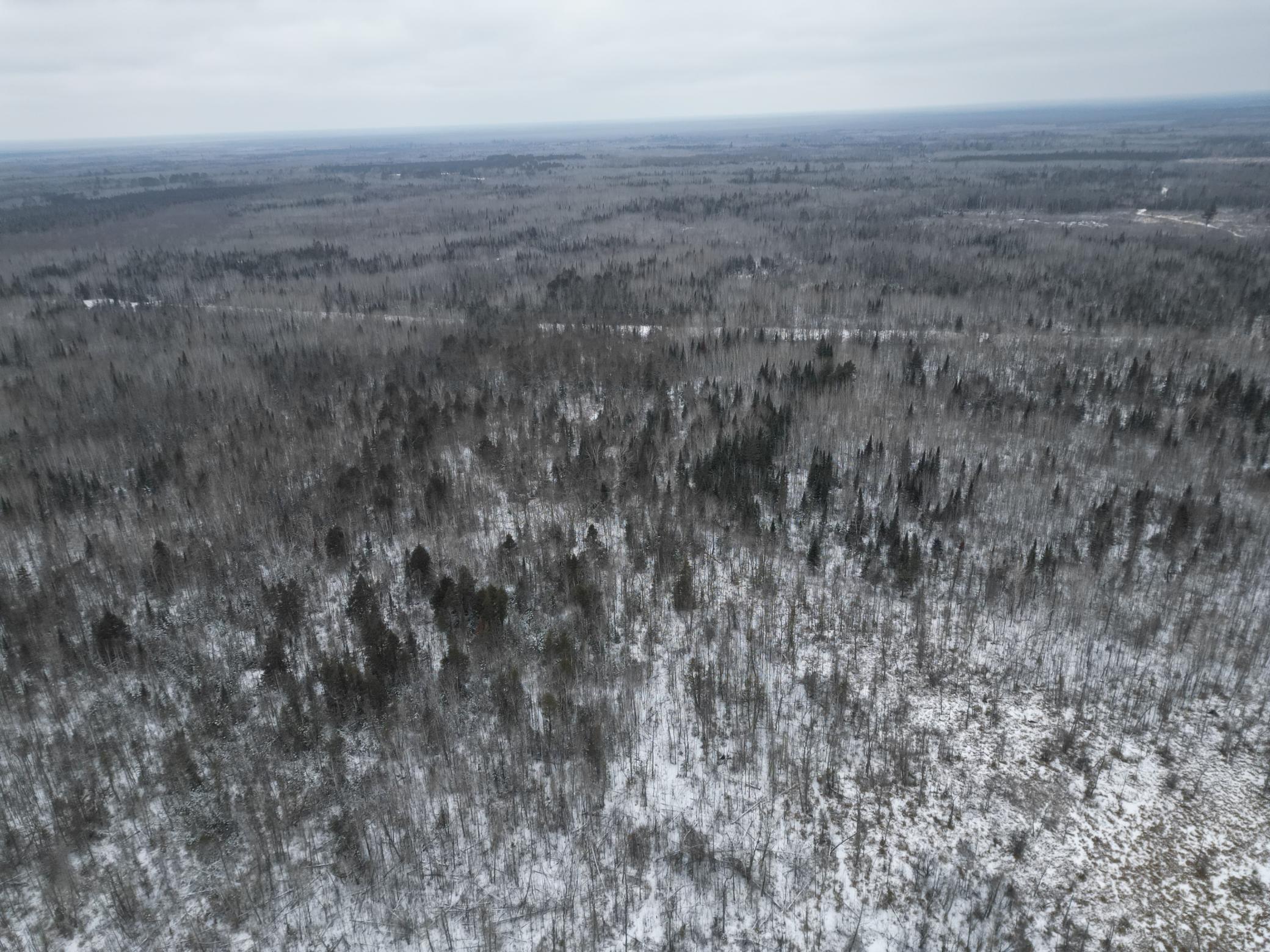 TBD Us-71, Big Falls, Minnesota image 16